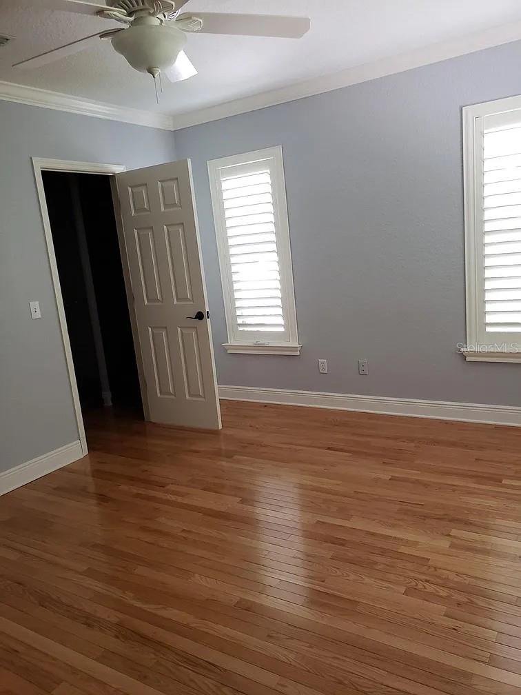 2889 BAYSHORE TRAILS DR, TAMPA, FL, 33611