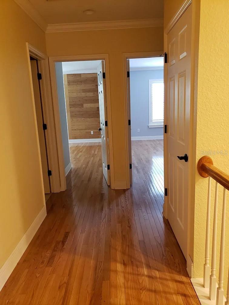 2889 BAYSHORE TRAILS DR, TAMPA, FL, 33611