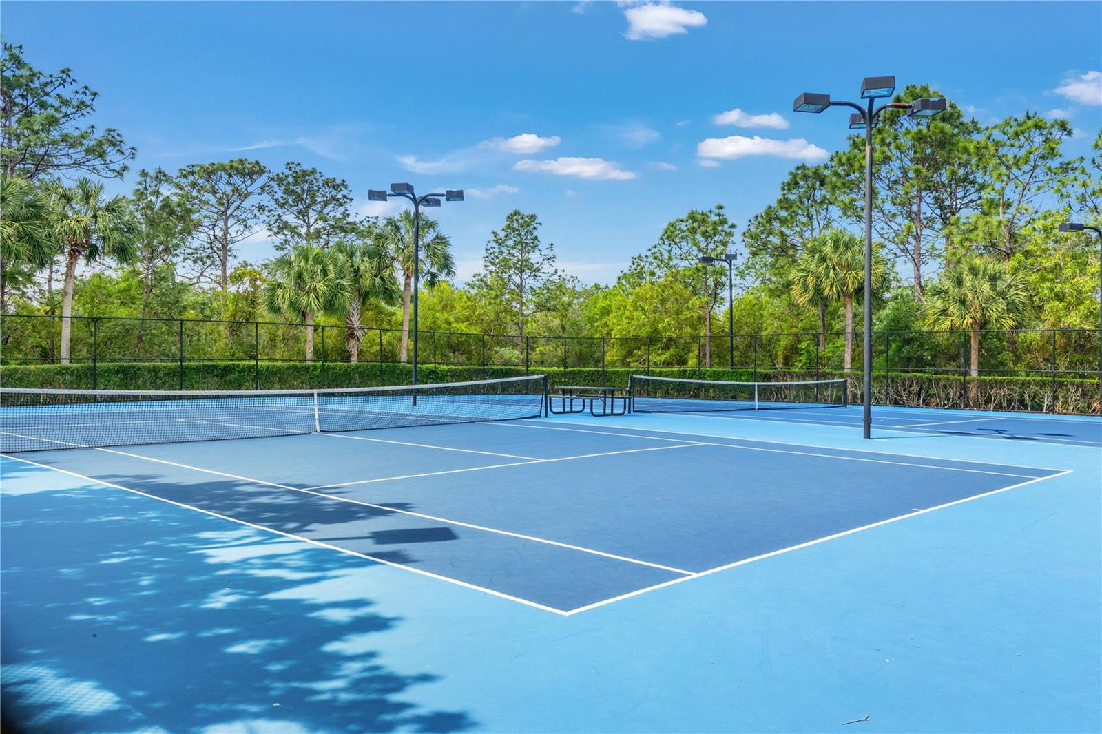 3763 AUTUMN AMBER DR, SPRING HILL, FL, 34609