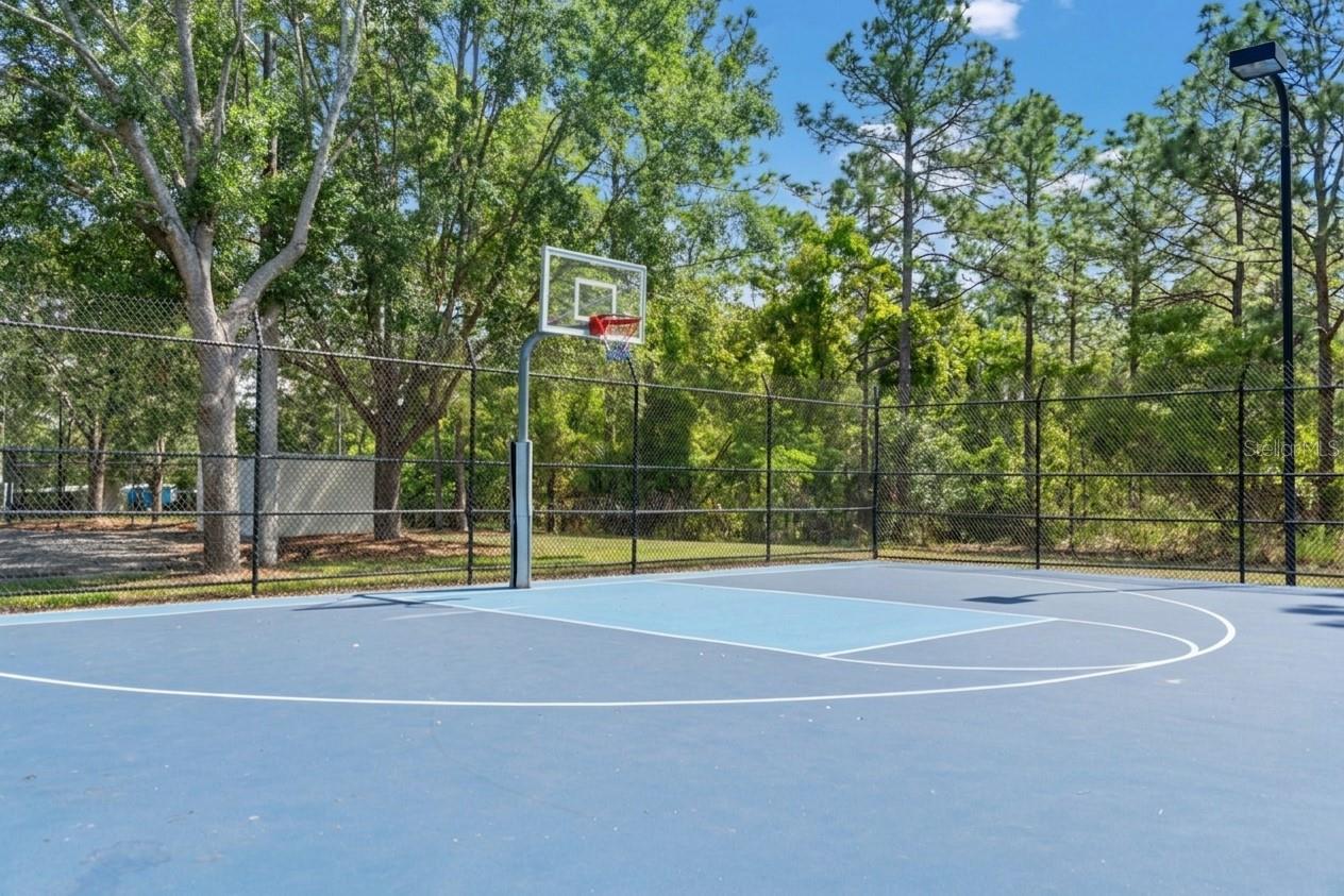 3763 AUTUMN AMBER DR, SPRING HILL, FL, 34609