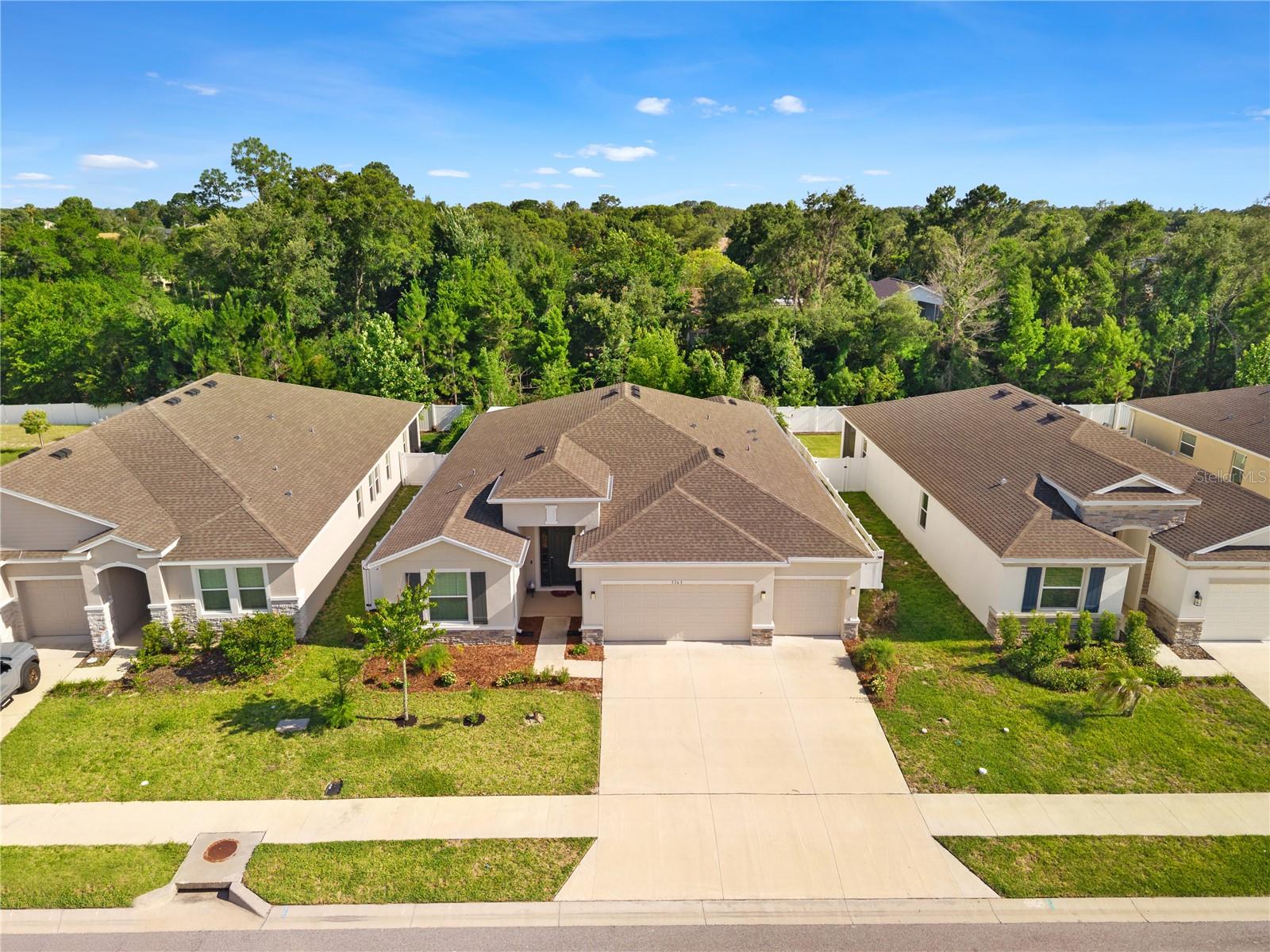 3763 AUTUMN AMBER DR, SPRING HILL, FL, 34609