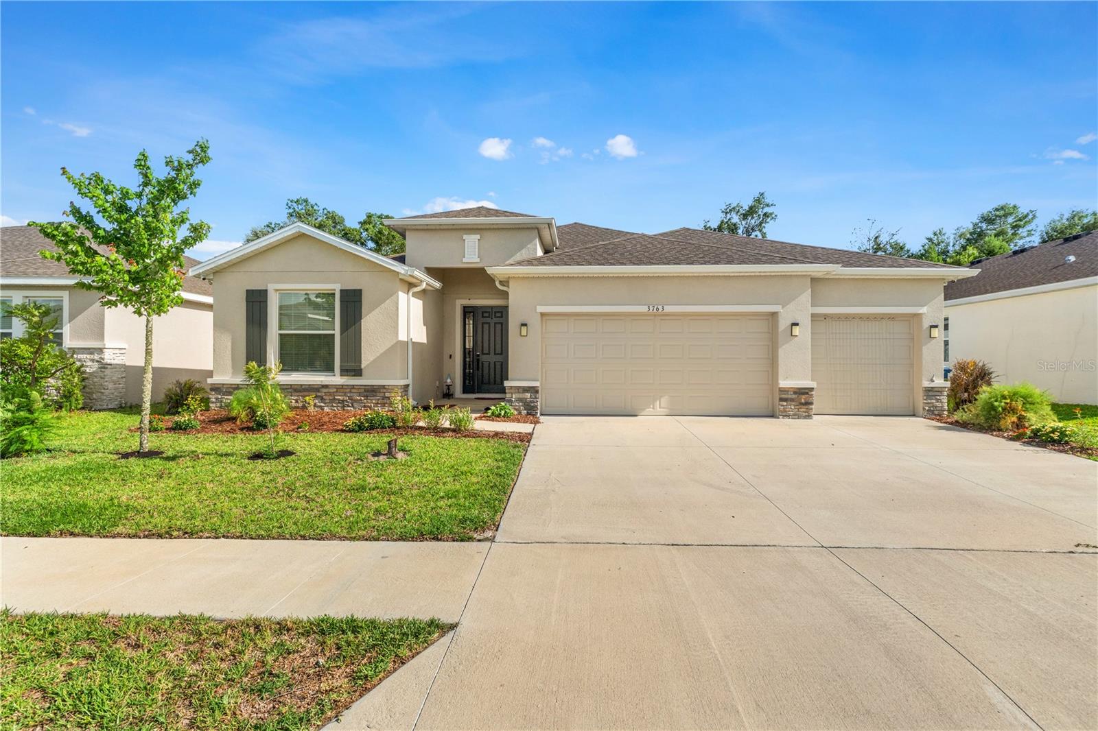 3763 AUTUMN AMBER DR, SPRING HILL, FL, 34609