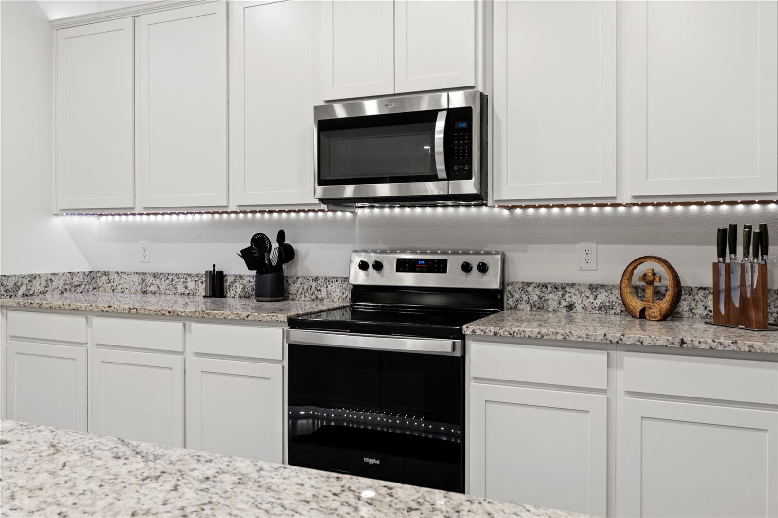 3763 AUTUMN AMBER DR, SPRING HILL, FL, 34609