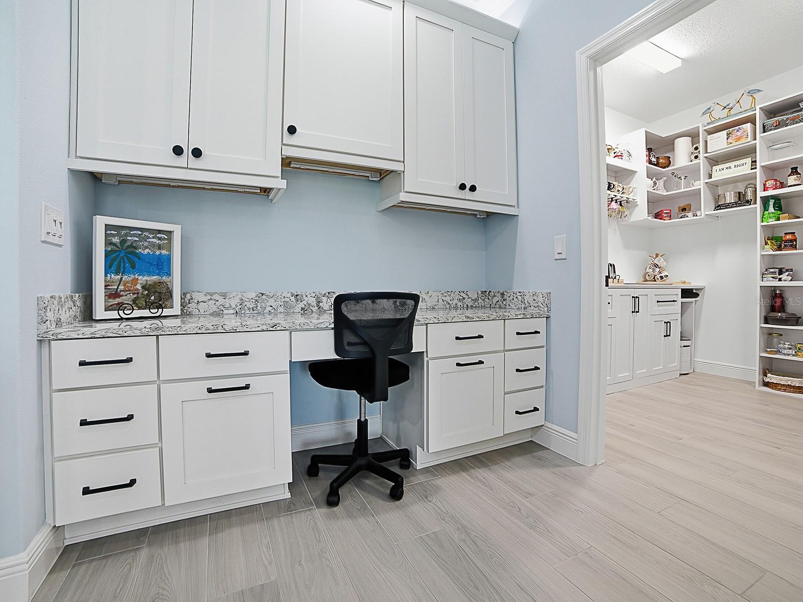 7004 EMILINE TER, THE VILLAGES, FL, 34762