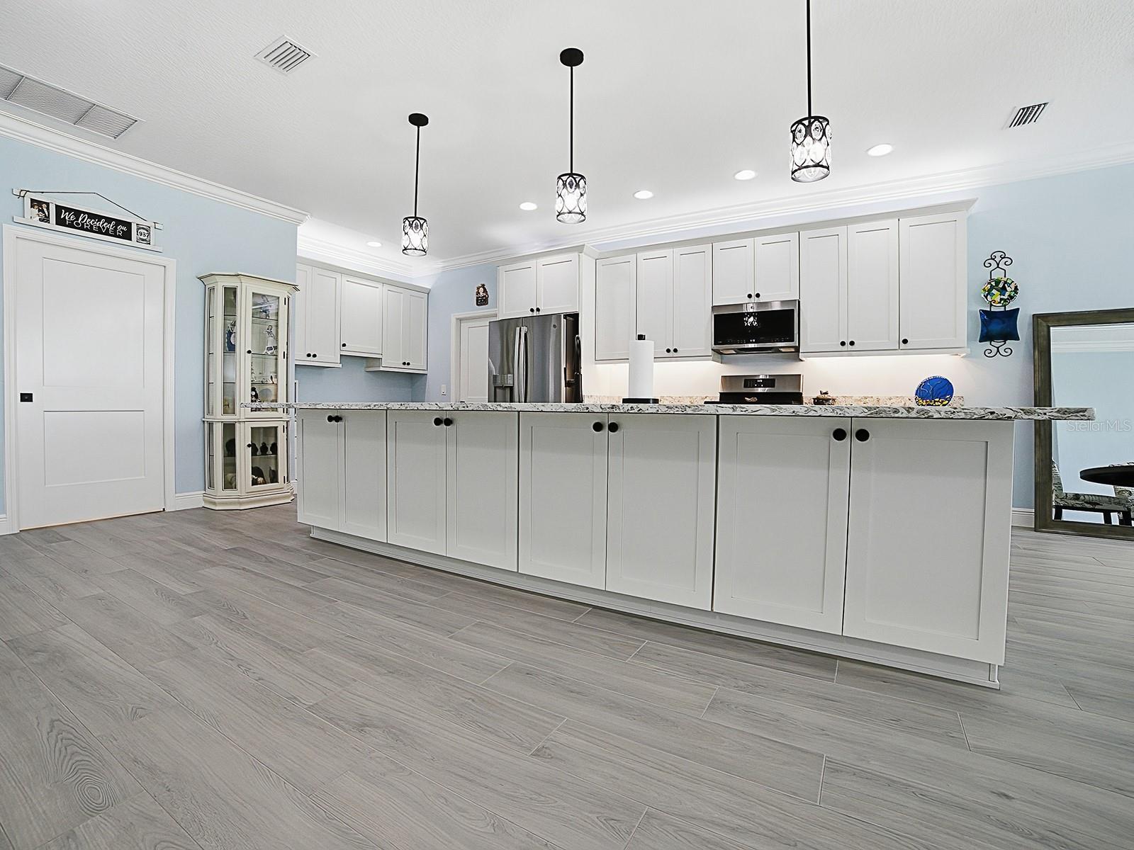 7004 EMILINE TER, THE VILLAGES, FL, 34762