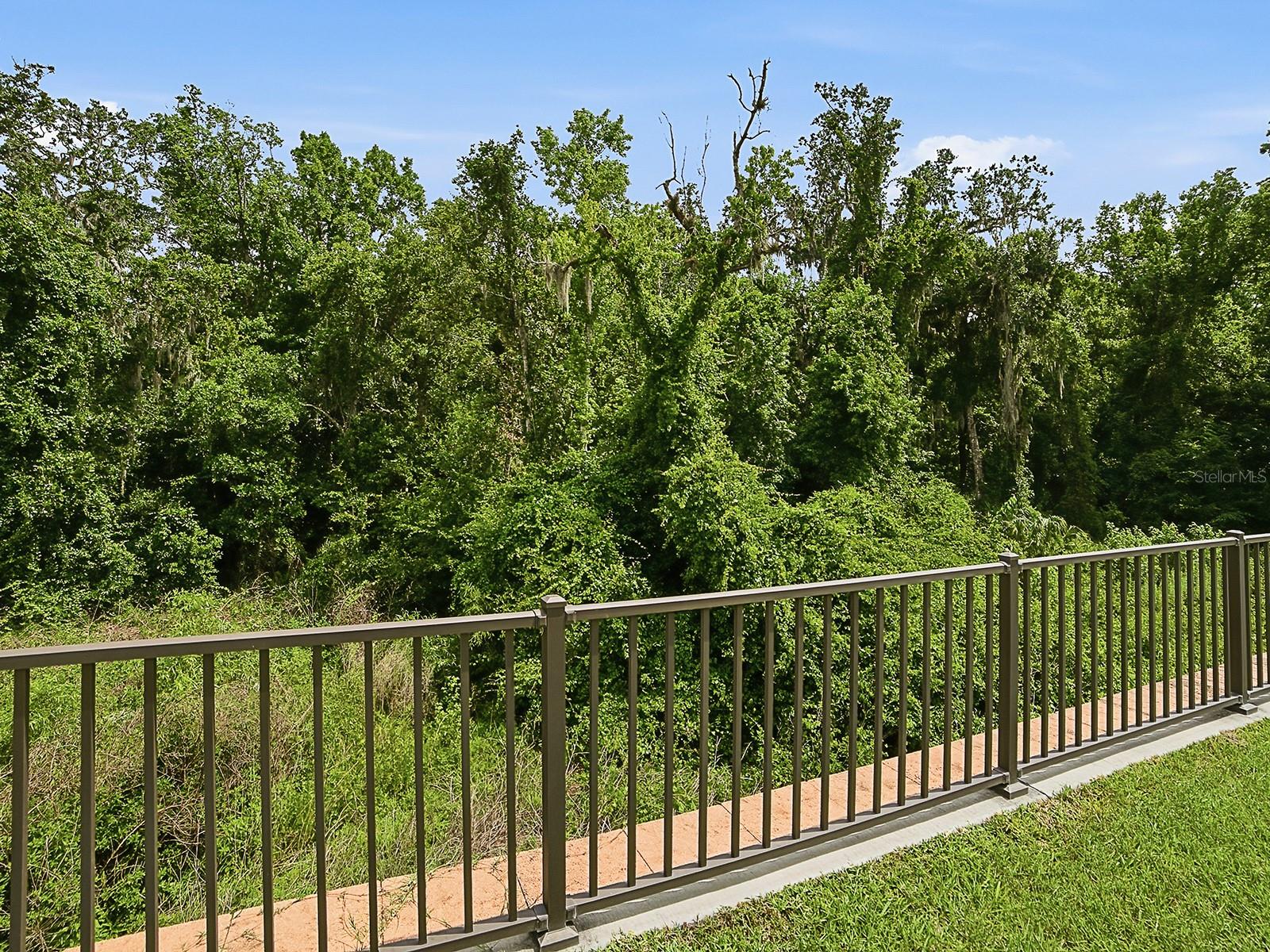7004 EMILINE TER, THE VILLAGES, FL, 34762