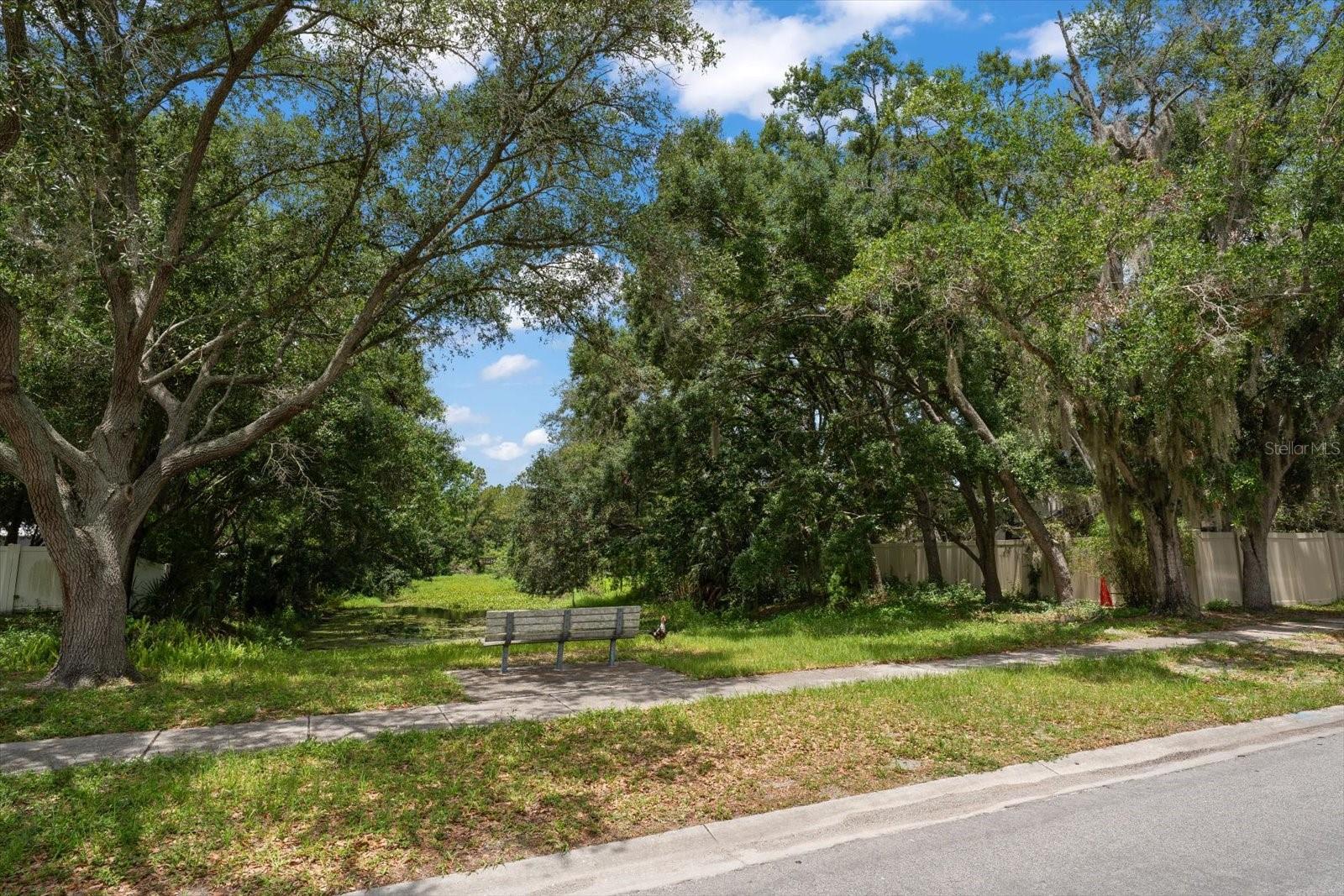 3408 CULLENDALE DR, TAMPA, FL, 33618