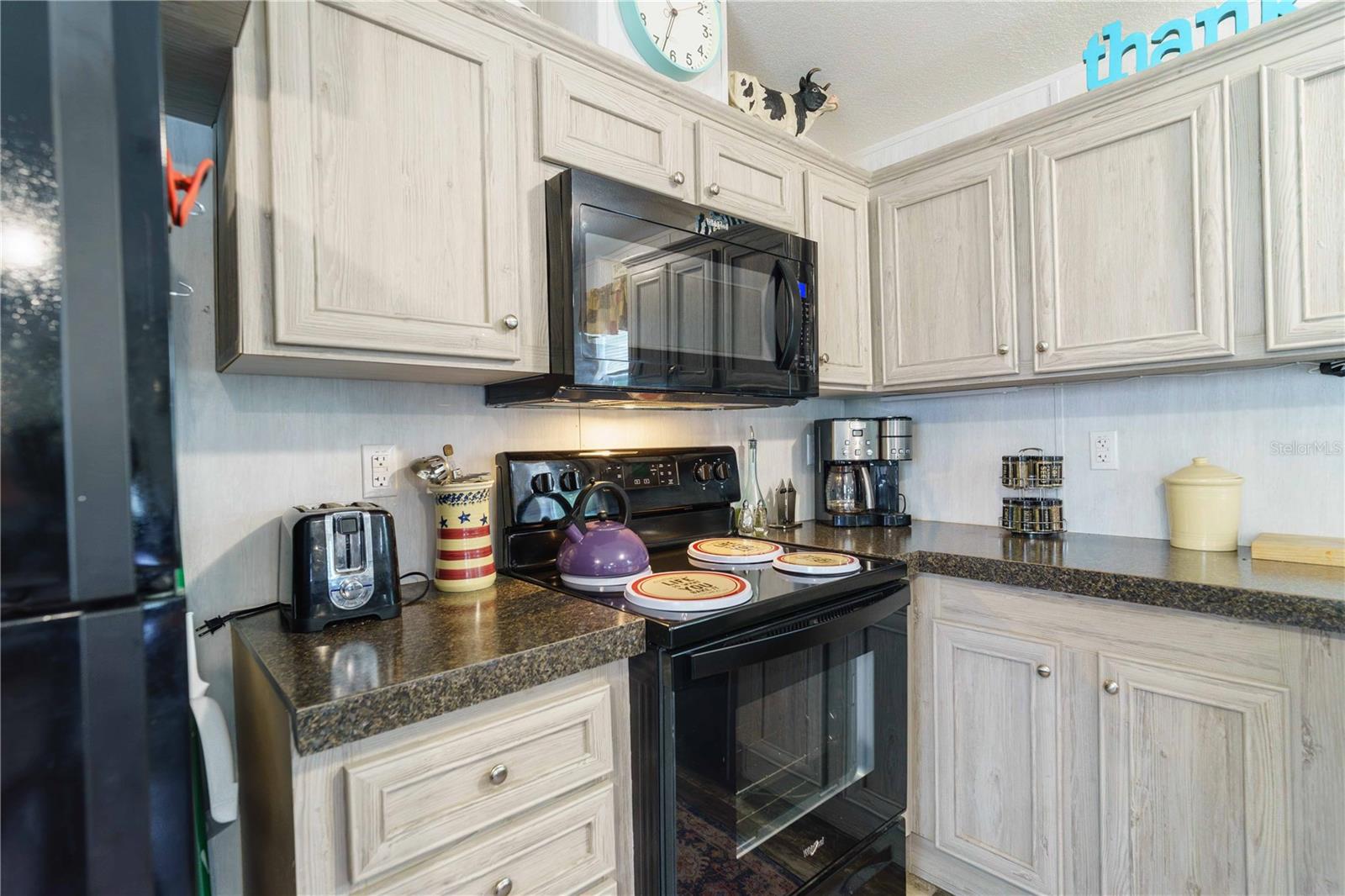13215 NE 41ST ST, SILVER SPRINGS, FL, 34488