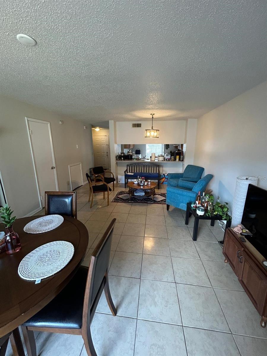 5154 SUNRIDGE PALMS DR #5154, TAMPA, FL, 33617