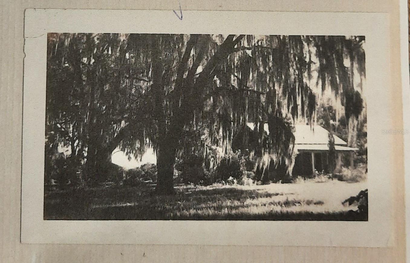 1985 NE 97TH STREED RD, ANTHONY, FL, 32617