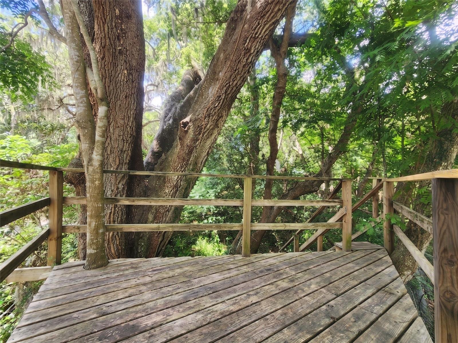 1985 NE 97TH STREED RD, ANTHONY, FL, 32617