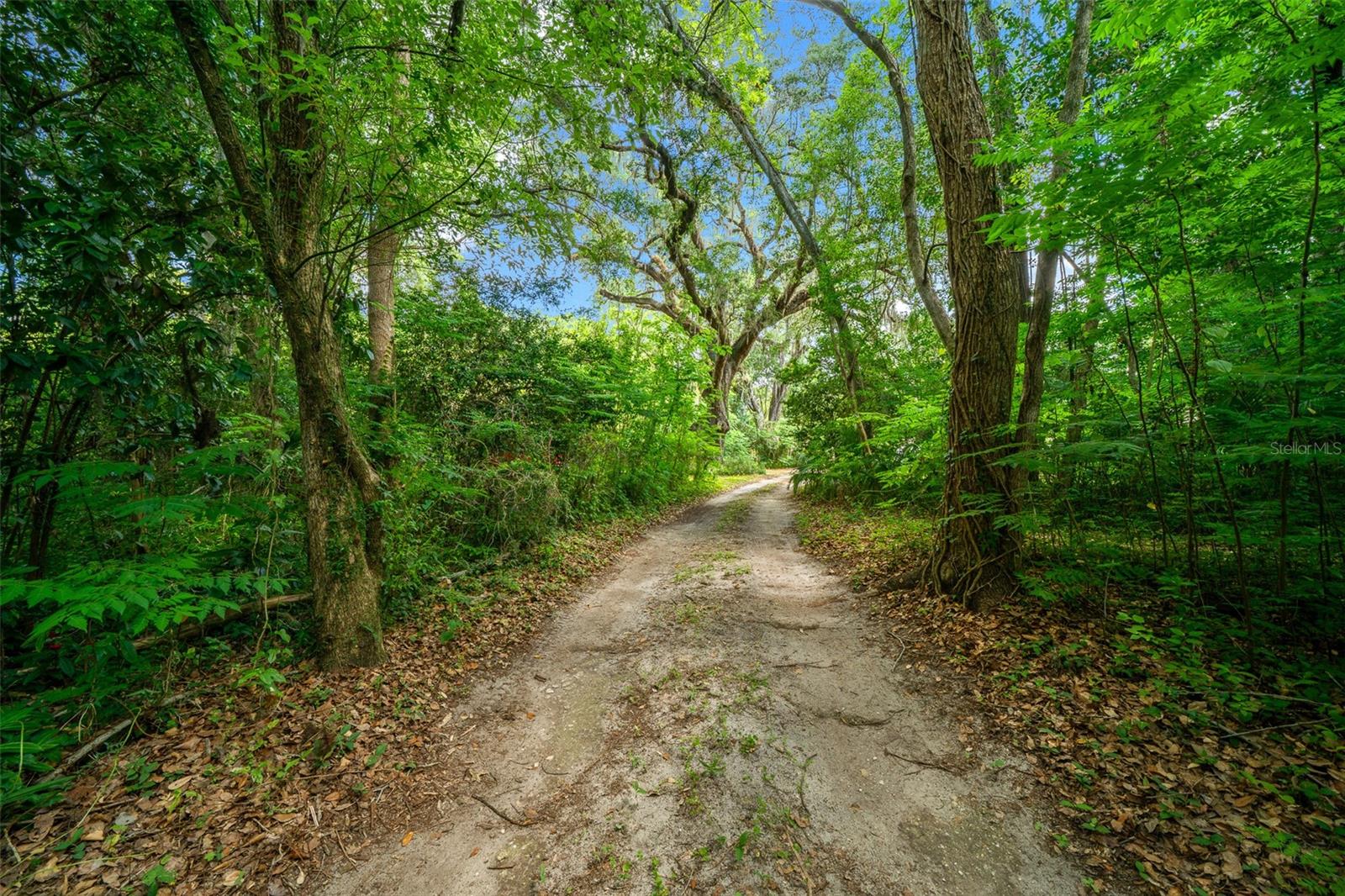1985 NE 97TH STREED RD, ANTHONY, FL, 32617