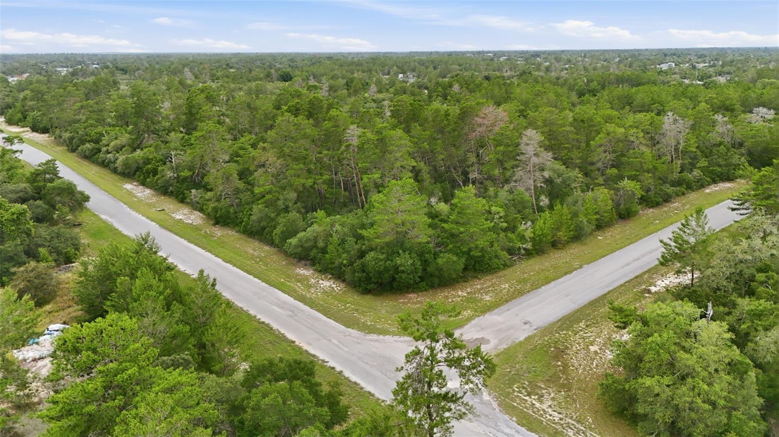 Parcel #8005-0854-46 (2.89 ACRES), OCALA, FL, 34473