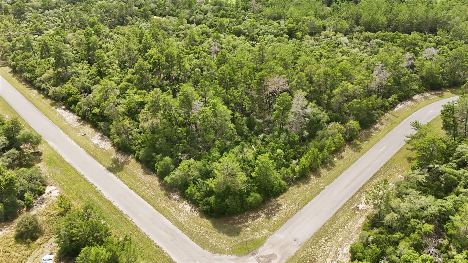 Parcel #8005-0854-46 (2.89 ACRES), OCALA, FL, 34473
