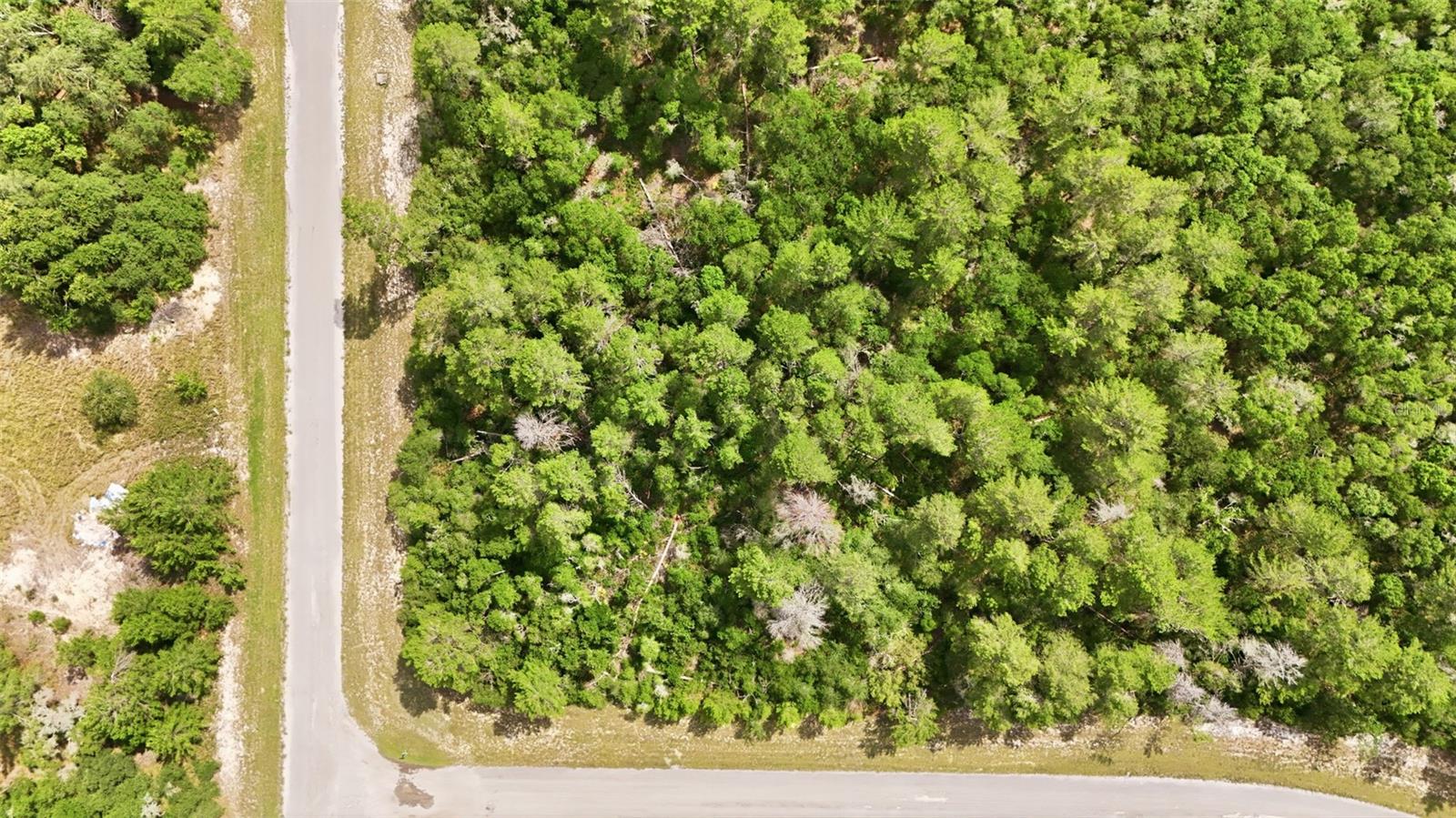 Parcel #8005-0854-46 (2.89 ACRES), OCALA, FL, 34473