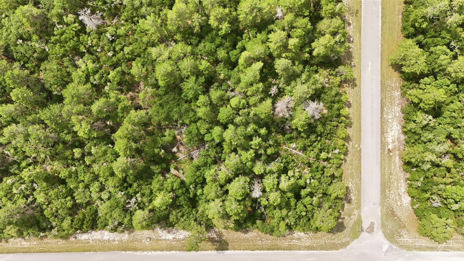 Parcel #8005-0854-46 (2.89 ACRES), OCALA, FL, 34473