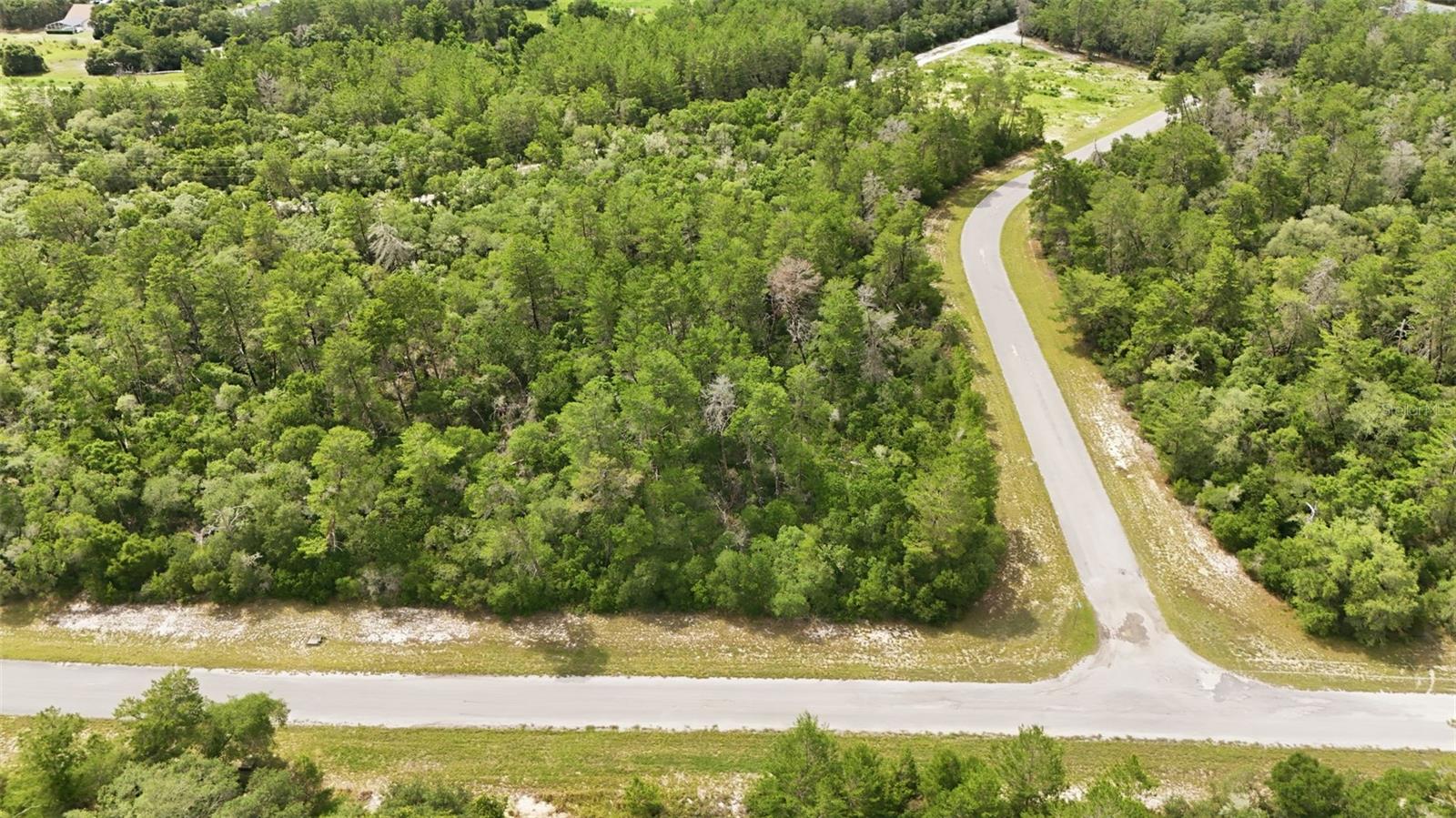 Parcel #8005-0854-46 (2.89 ACRES), OCALA, FL, 34473