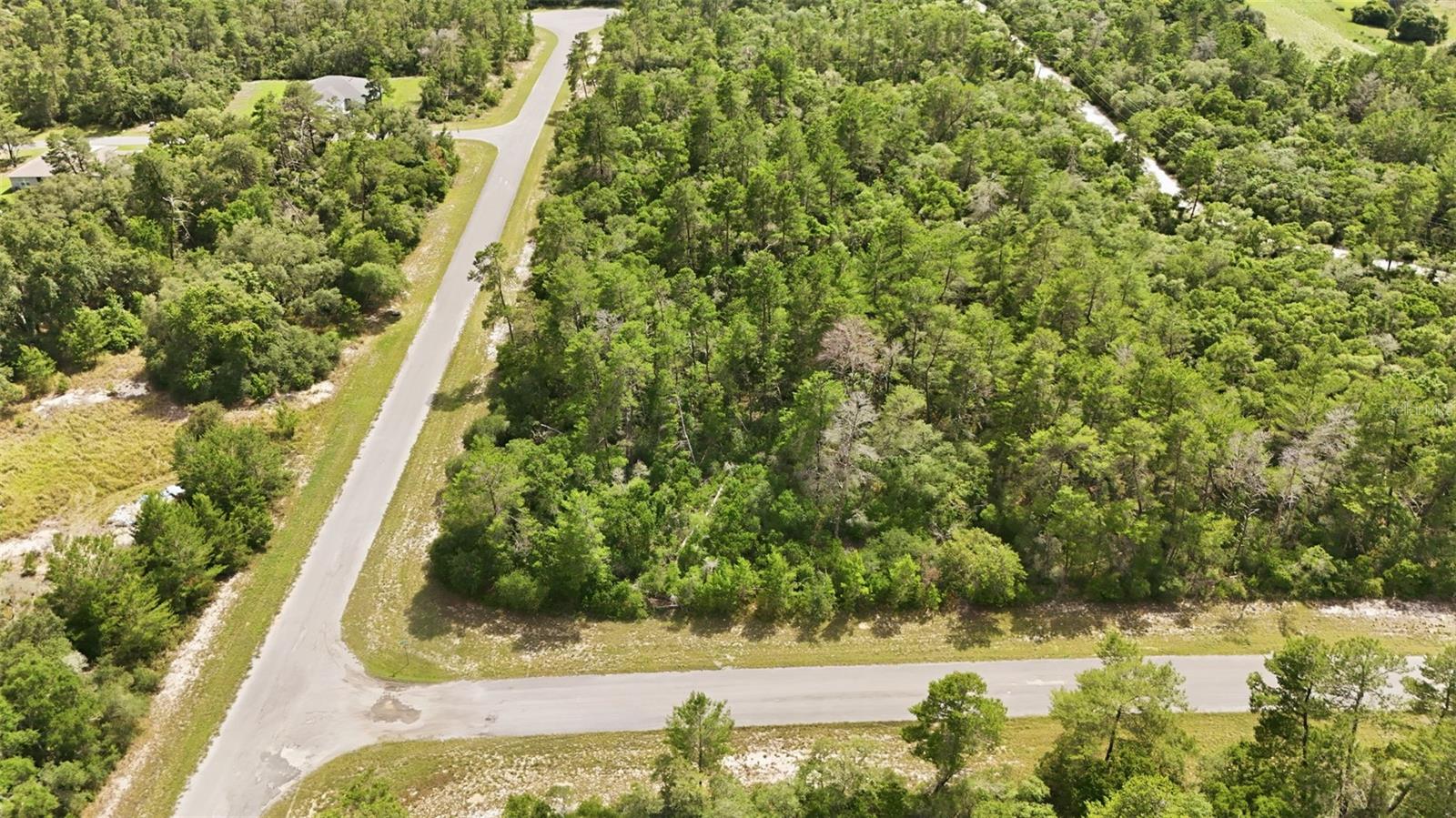 Parcel #8005-0854-46 (2.89 ACRES), OCALA, FL, 34473