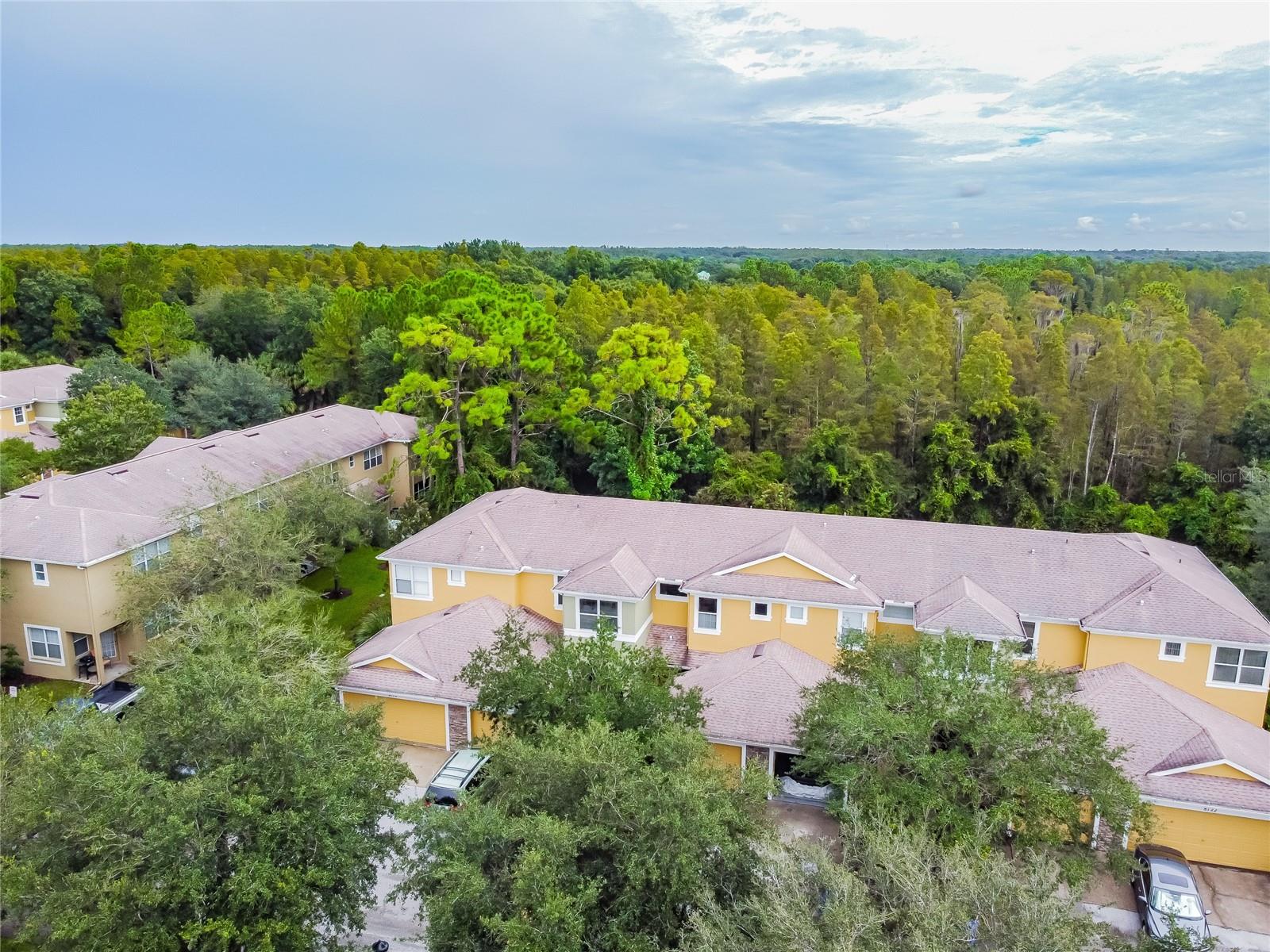 8116 STONE PATH WAY, TAMPA, FL, 33647