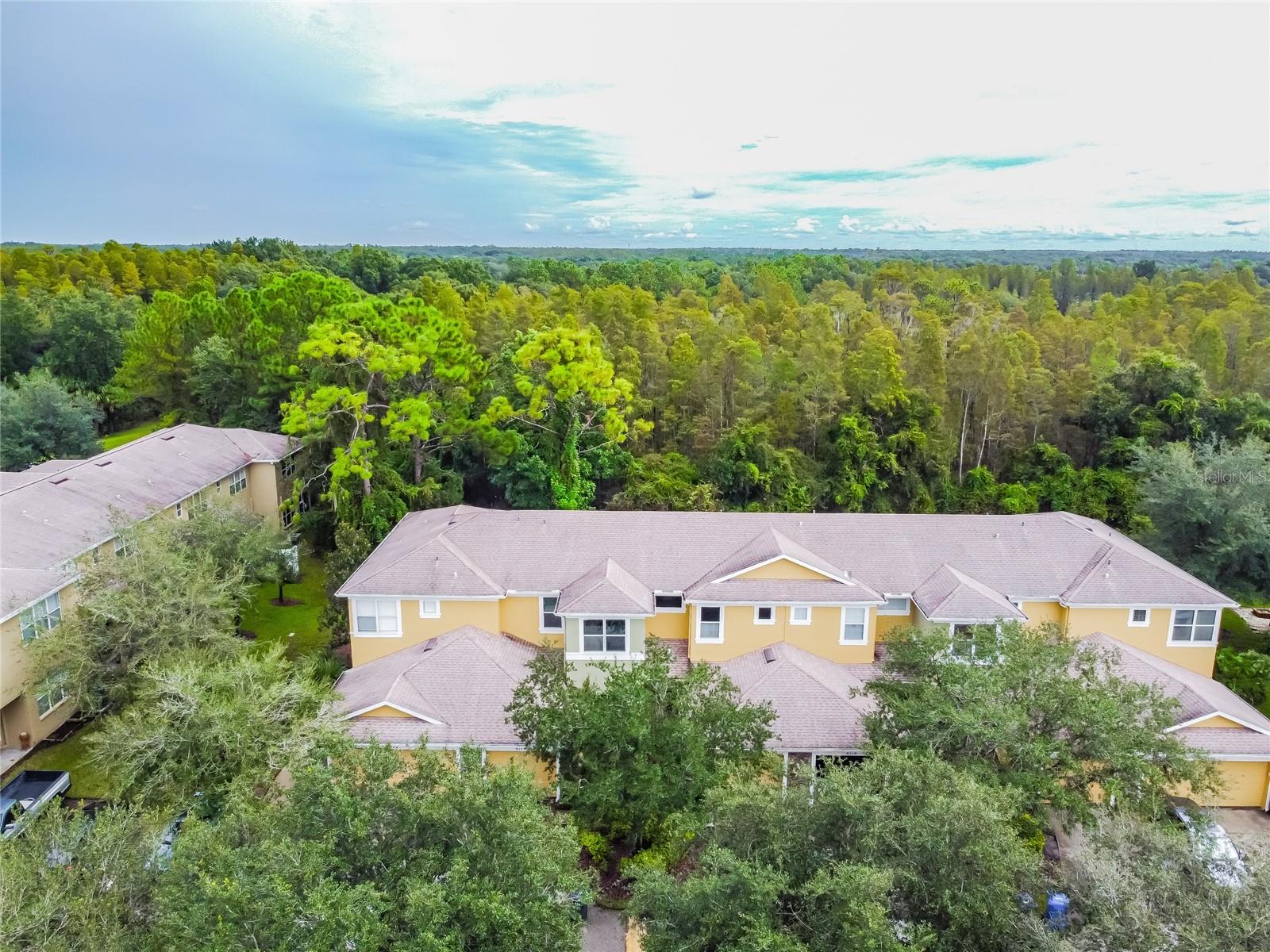 8116 STONE PATH WAY, TAMPA, FL, 33647