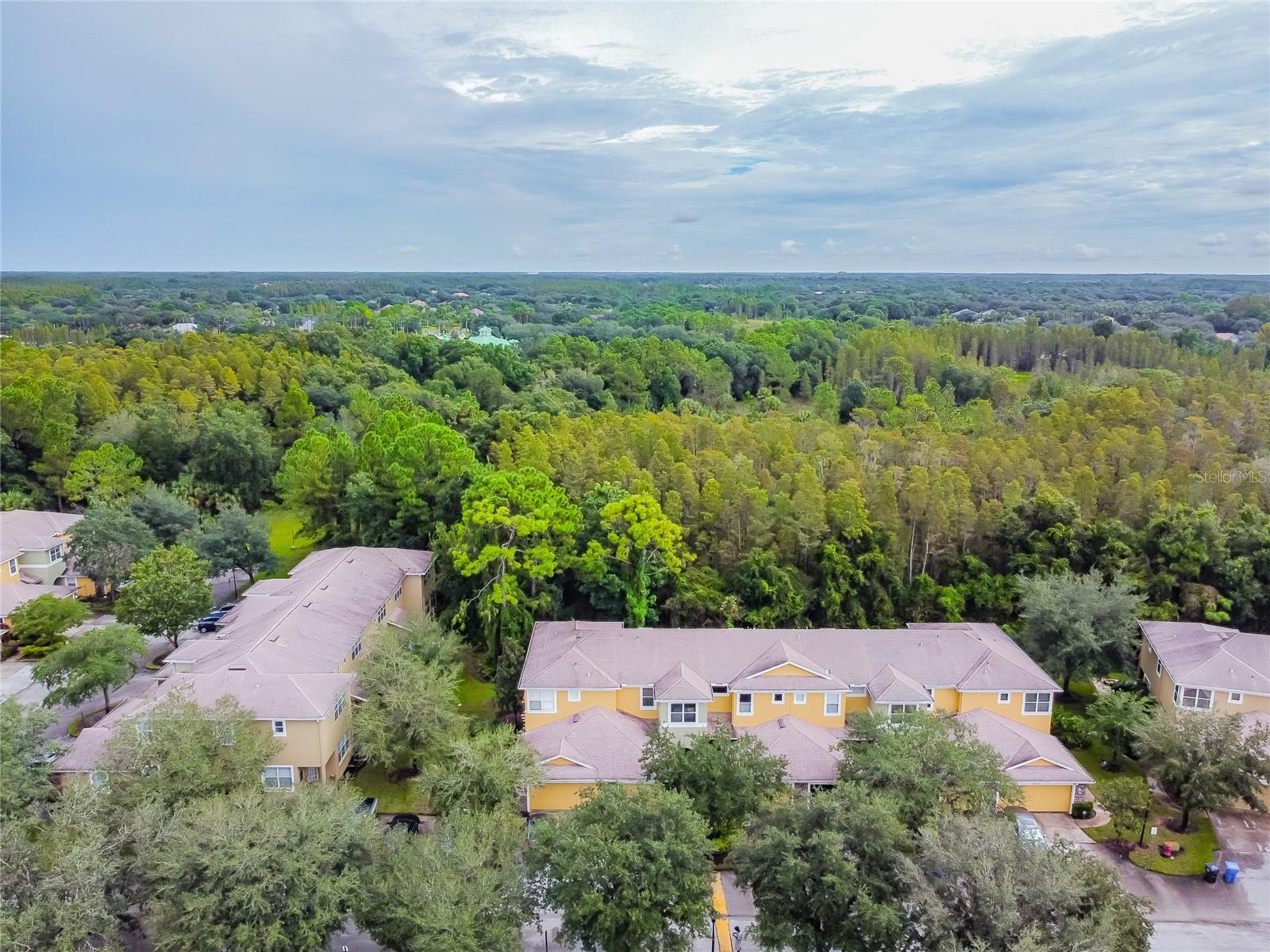 8116 STONE PATH WAY, TAMPA, FL, 33647