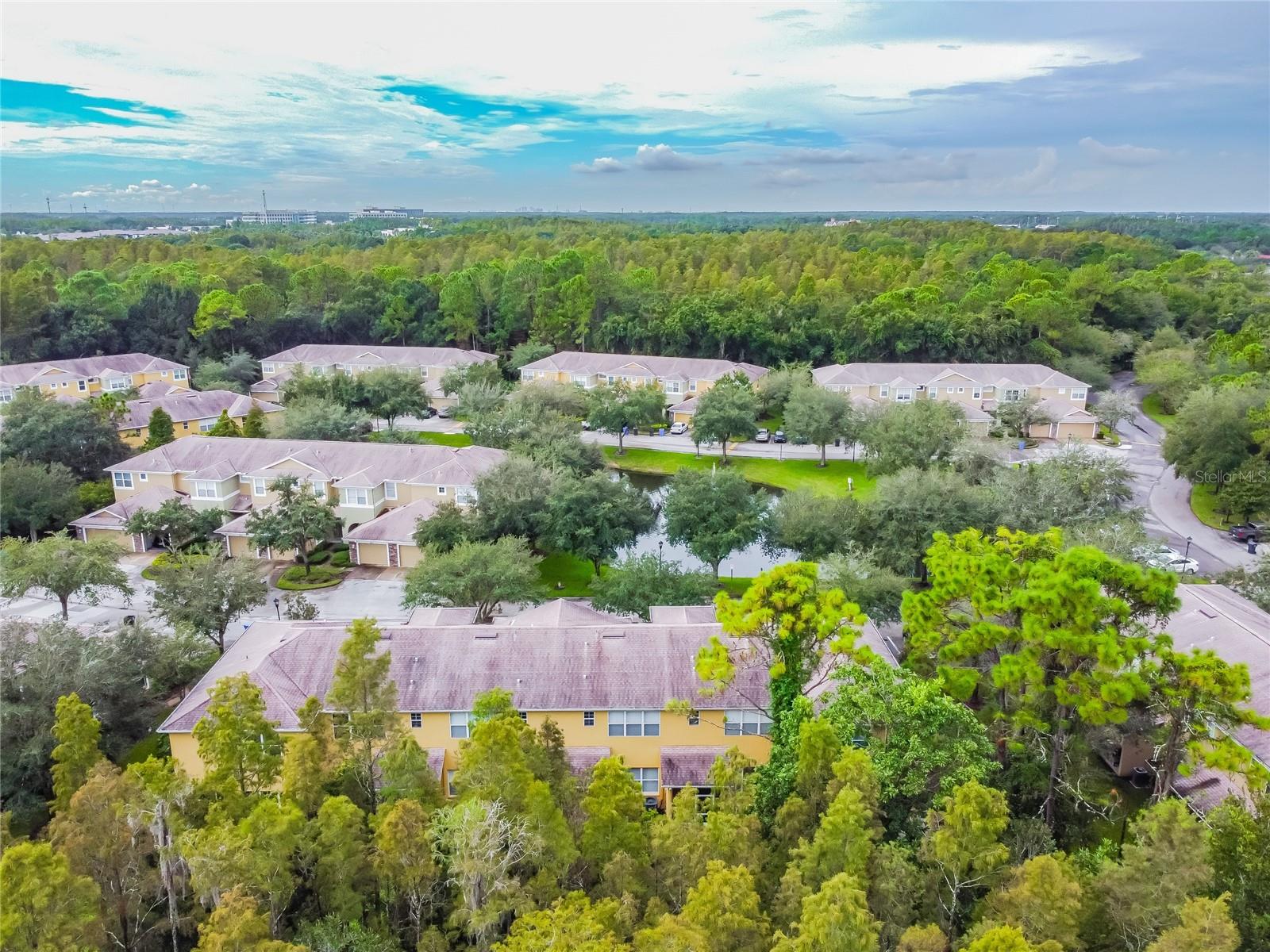 8116 STONE PATH WAY, TAMPA, FL, 33647