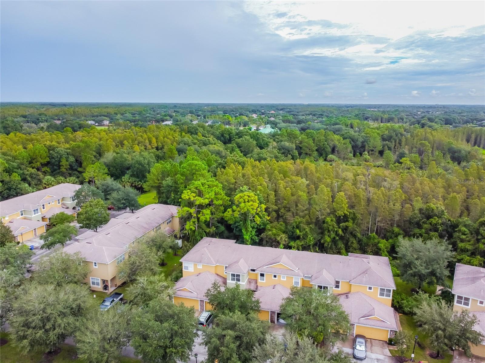 8116 STONE PATH WAY, TAMPA, FL, 33647