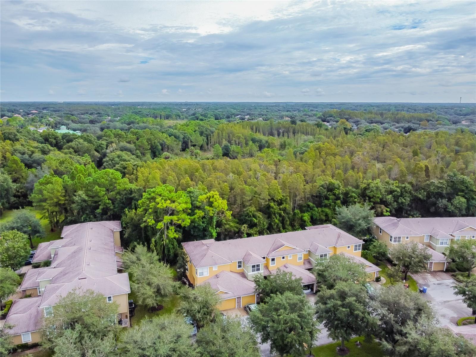 8116 STONE PATH WAY, TAMPA, FL, 33647