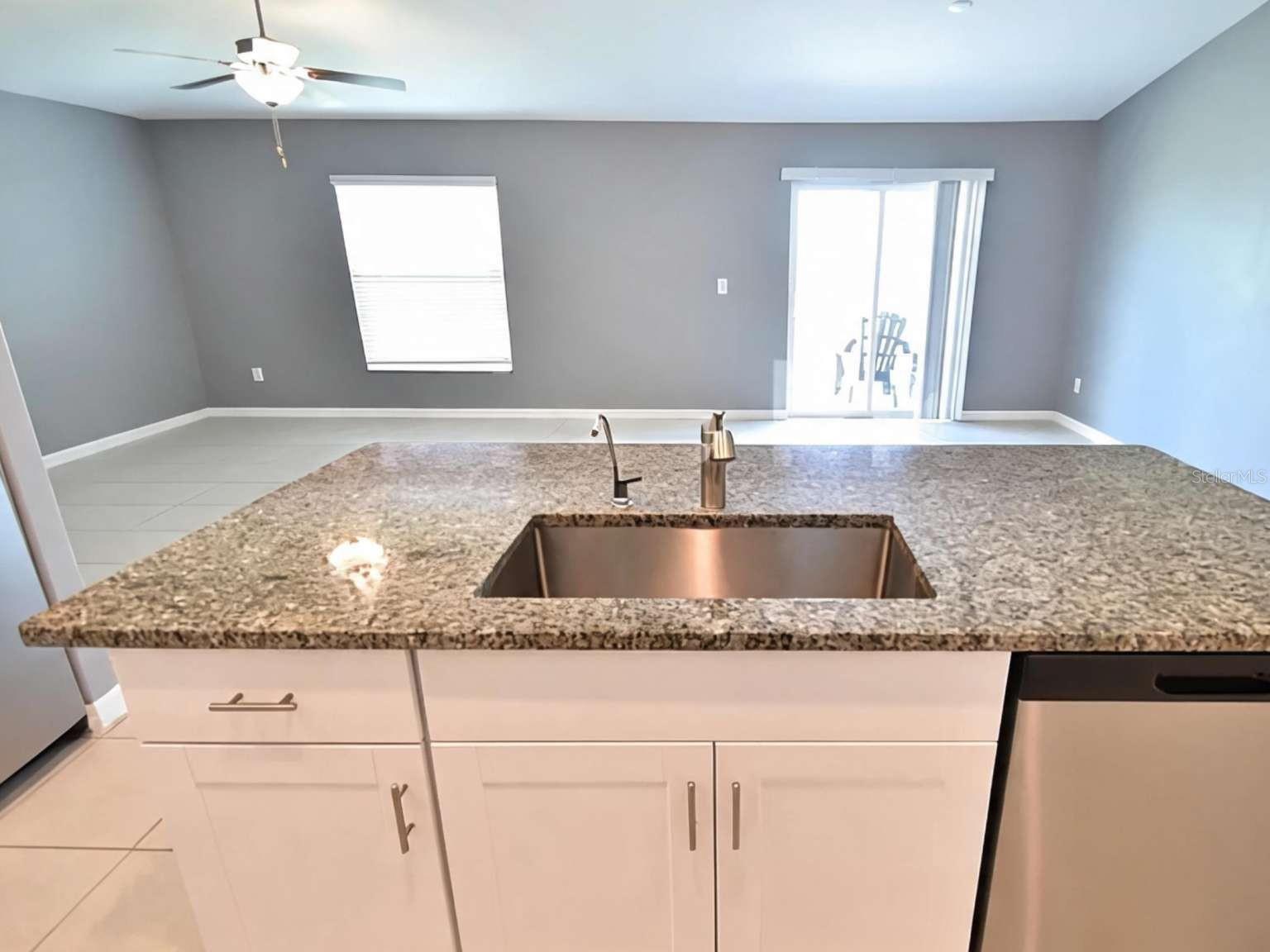 9685 BRANCHING SHIP TRCE, WESLEY CHAPEL, FL, 33545