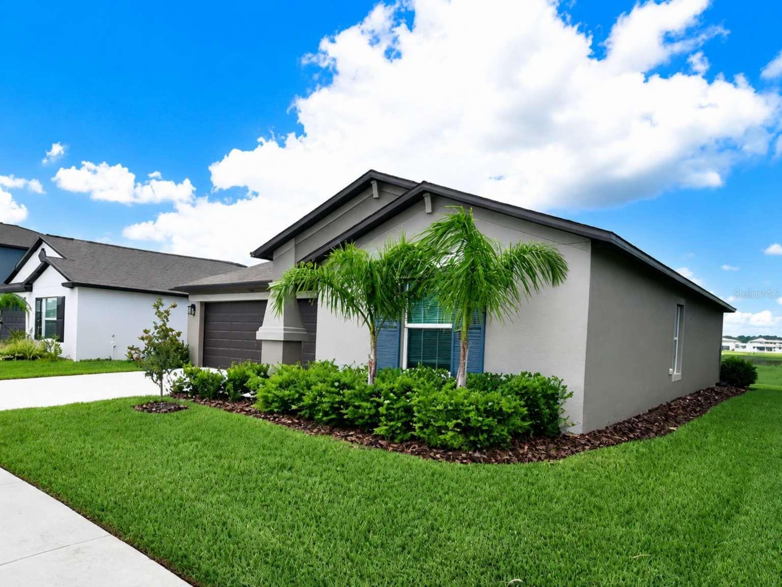 9685 BRANCHING SHIP TRCE, WESLEY CHAPEL, FL, 33545