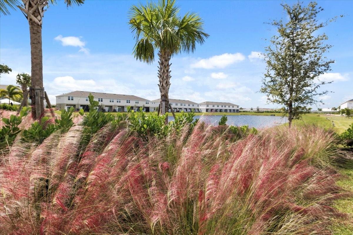 16632 BERGAMO PL, BRADENTON, FL, 34211