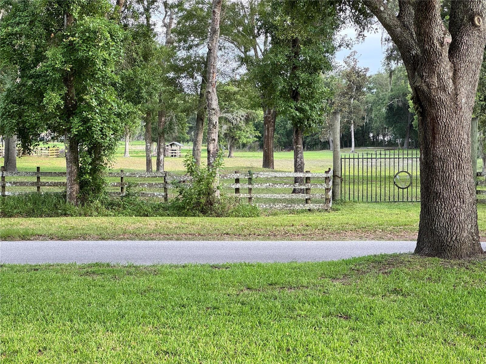 2730 ROBERTSON, LUTZ, FL, 33559