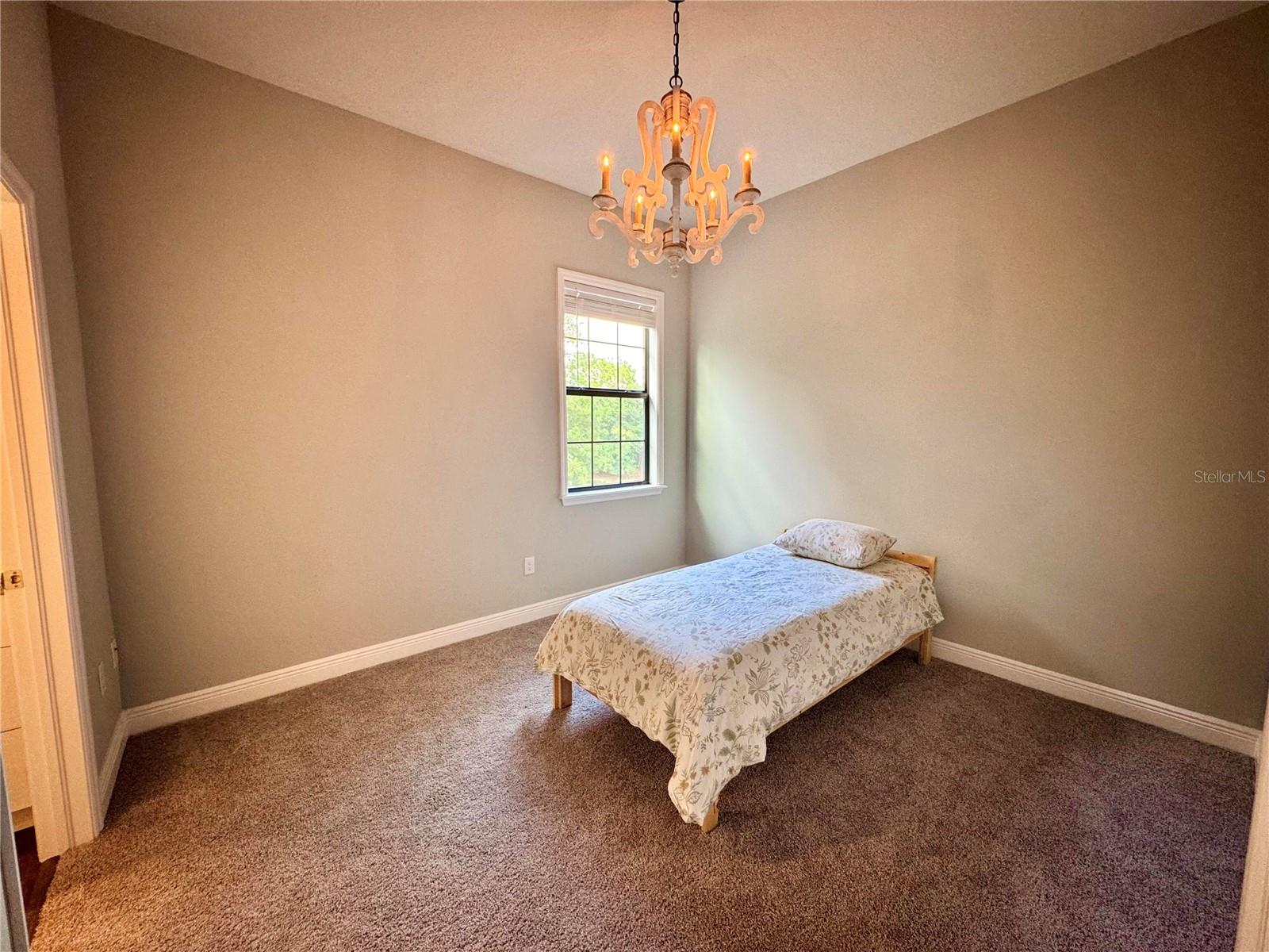 2730 ROBERTSON, LUTZ, FL, 33559