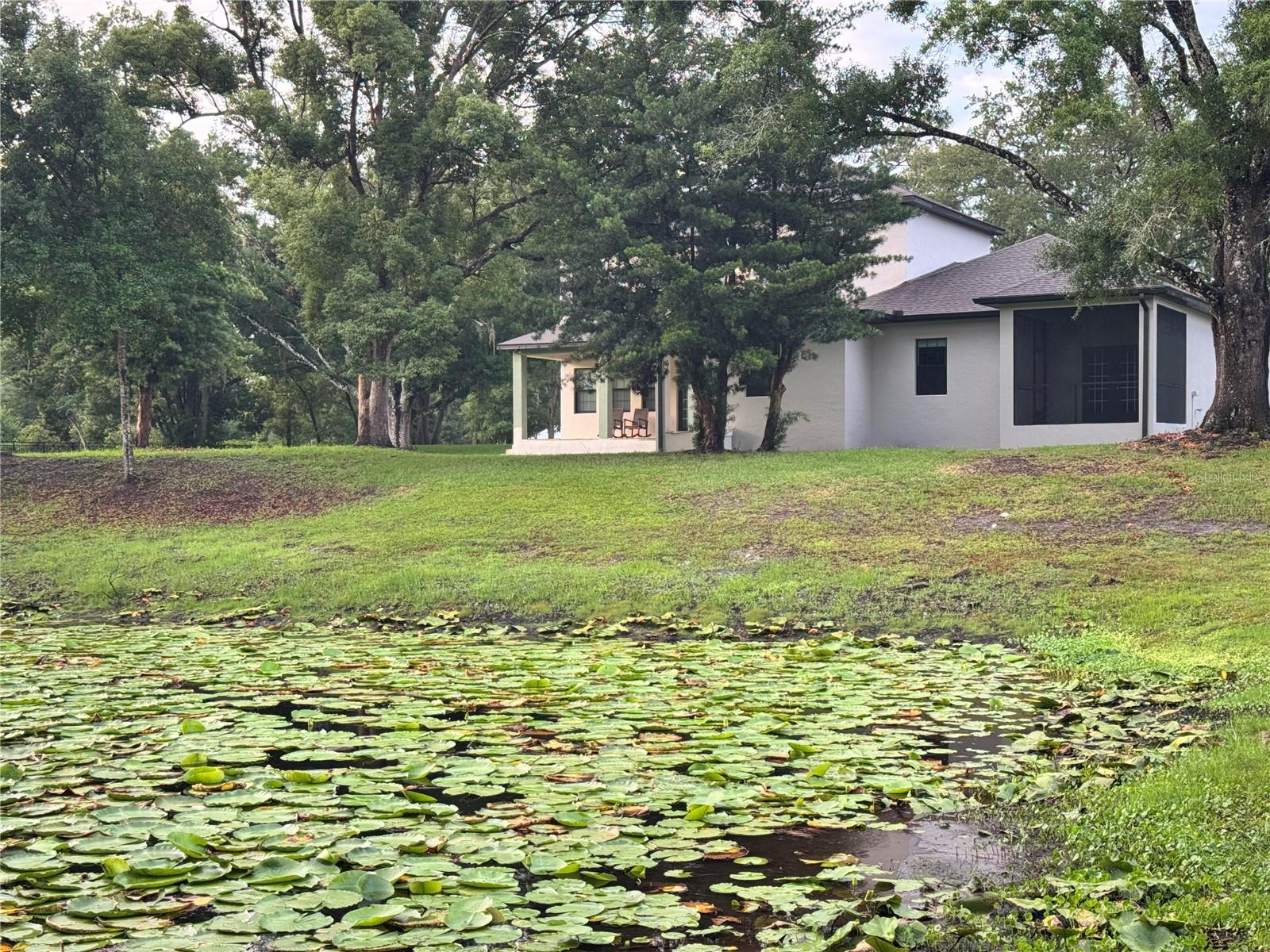2730 ROBERTSON, LUTZ, FL, 33559