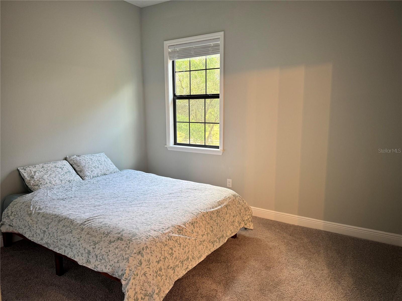 2730 ROBERTSON, LUTZ, FL, 33559