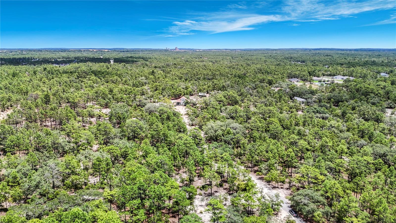 12126 SKIMMER AVE, WEEKI WACHEE, FL, 34614