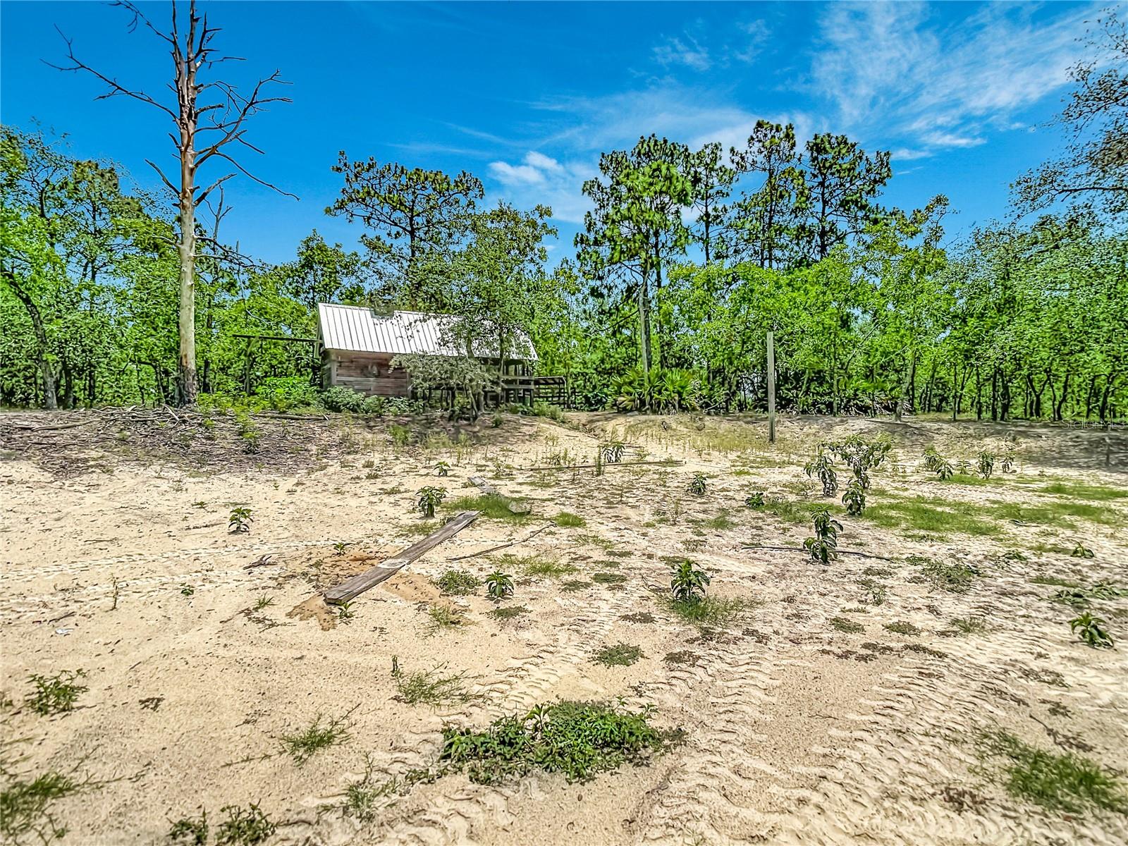 12126 SKIMMER AVE, WEEKI WACHEE, FL, 34614