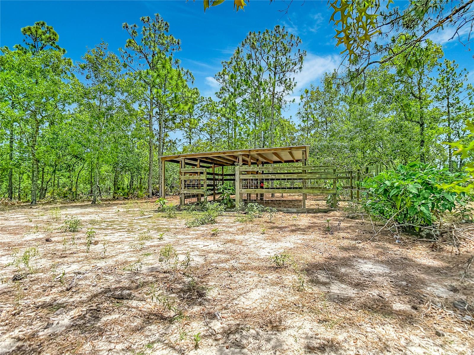 12126 SKIMMER AVE, WEEKI WACHEE, FL, 34614
