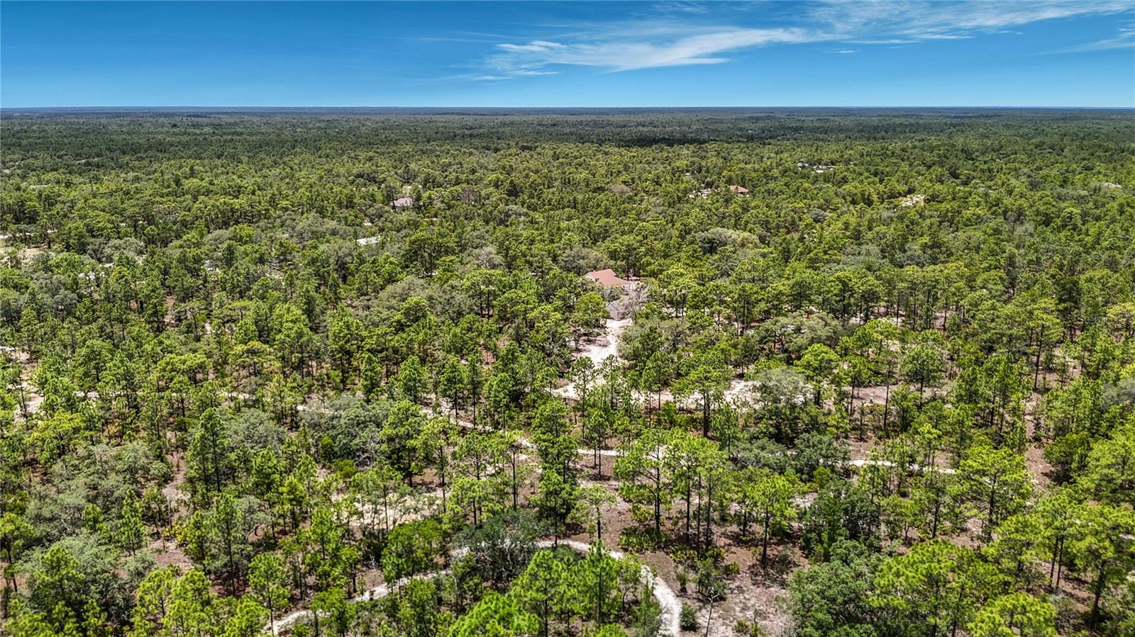 12126 SKIMMER AVE, WEEKI WACHEE, FL, 34614