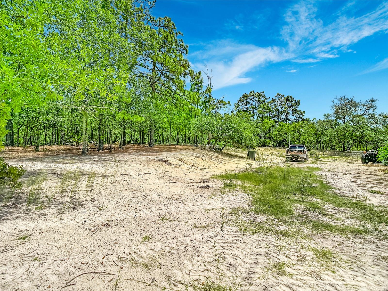 12126 SKIMMER AVE, WEEKI WACHEE, FL, 34614