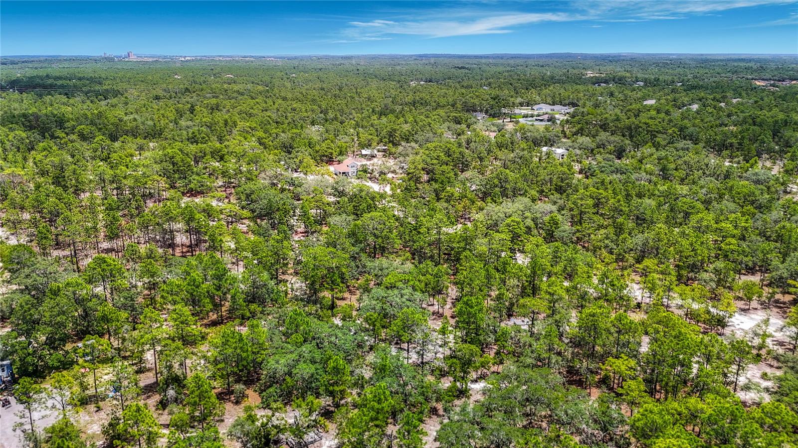 12126 SKIMMER AVE, WEEKI WACHEE, FL, 34614