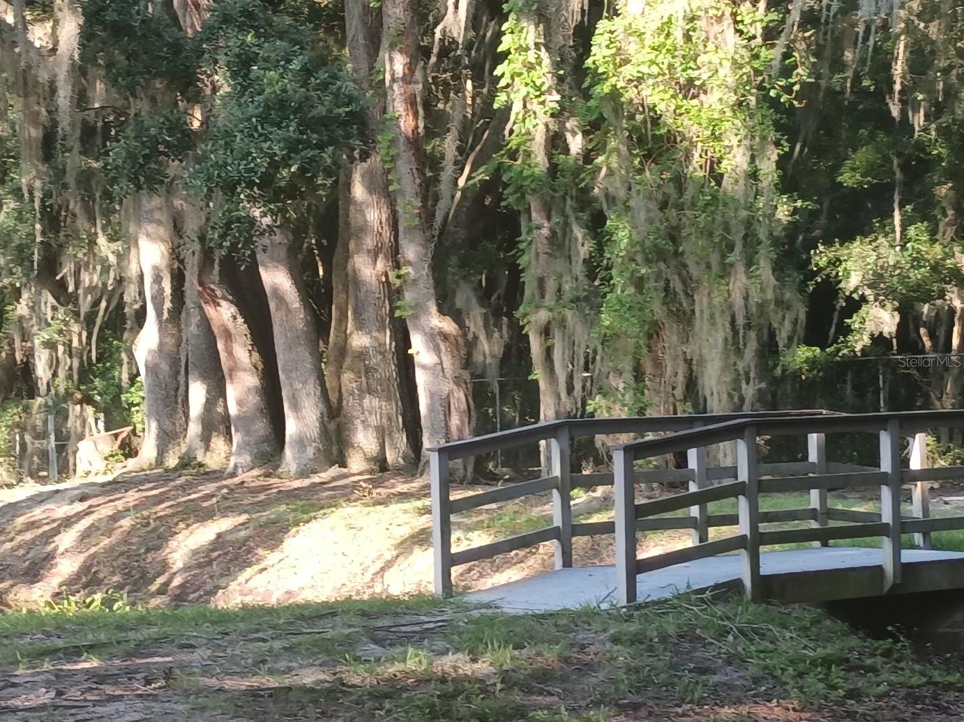 3758 NW 56TH LN, GAINESVILLE, FL, 32653