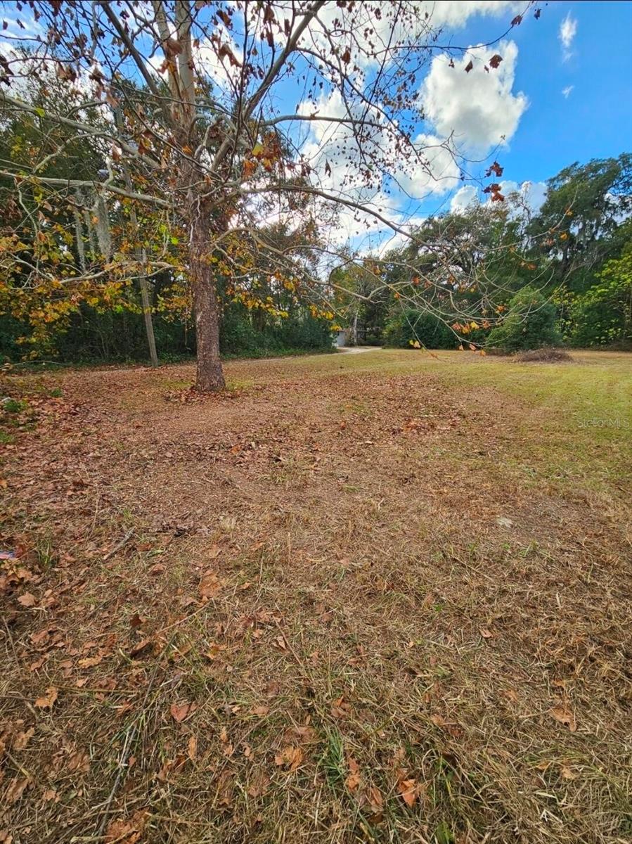 13585 SE 119TH ST, OCKLAWAHA, FL, 32179