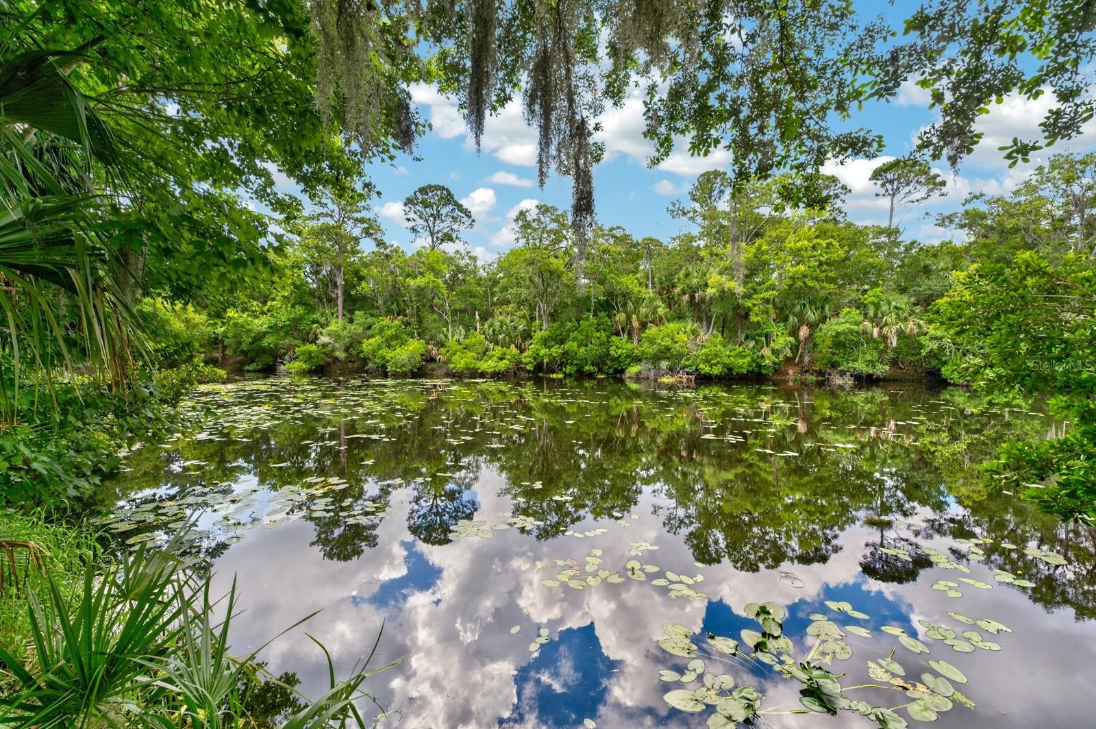 53 AUBERRY DR, PALM COAST, FL, 32137