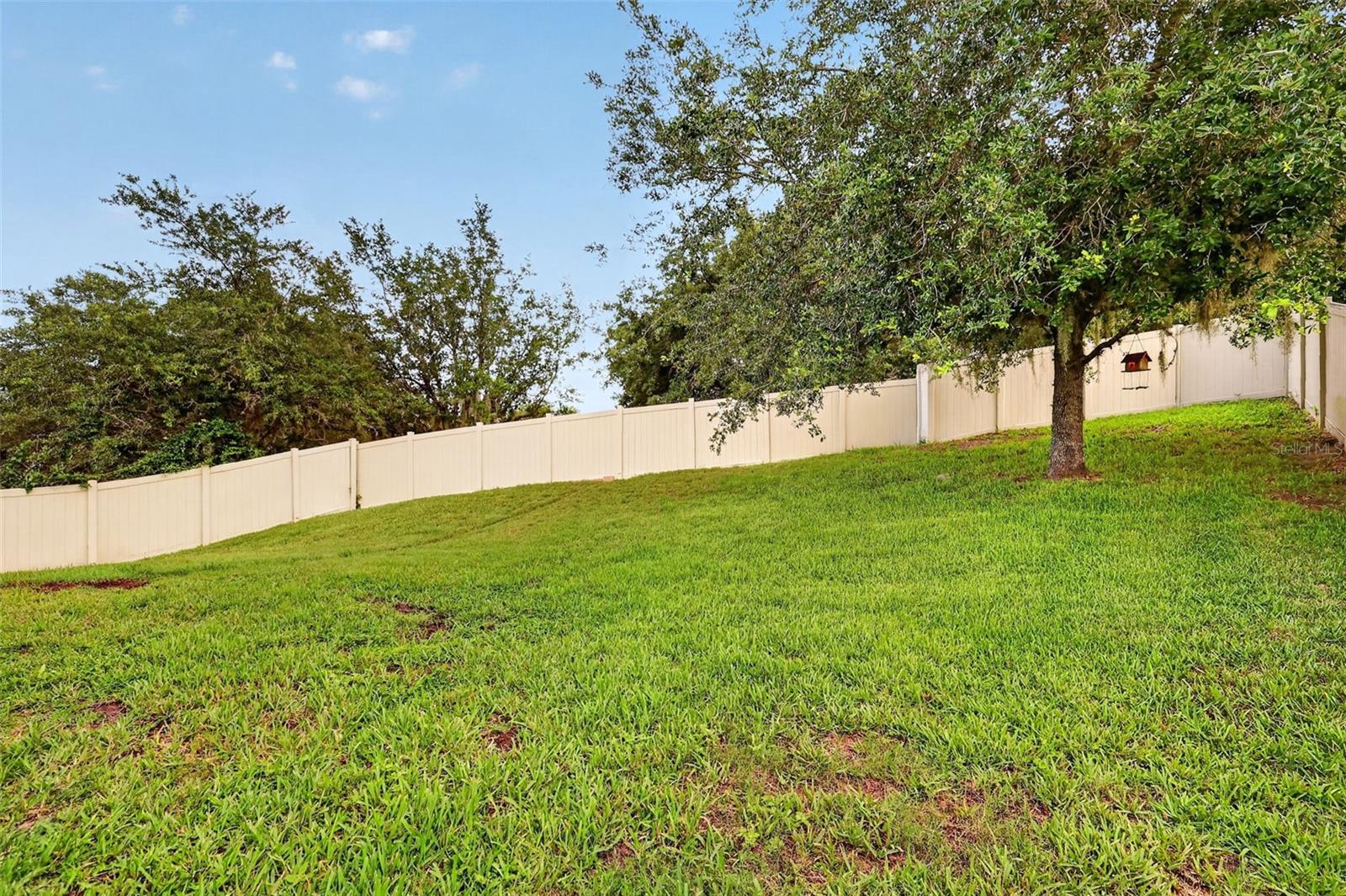 30115 CHEVAL ST, MOUNT DORA, FL, 32757