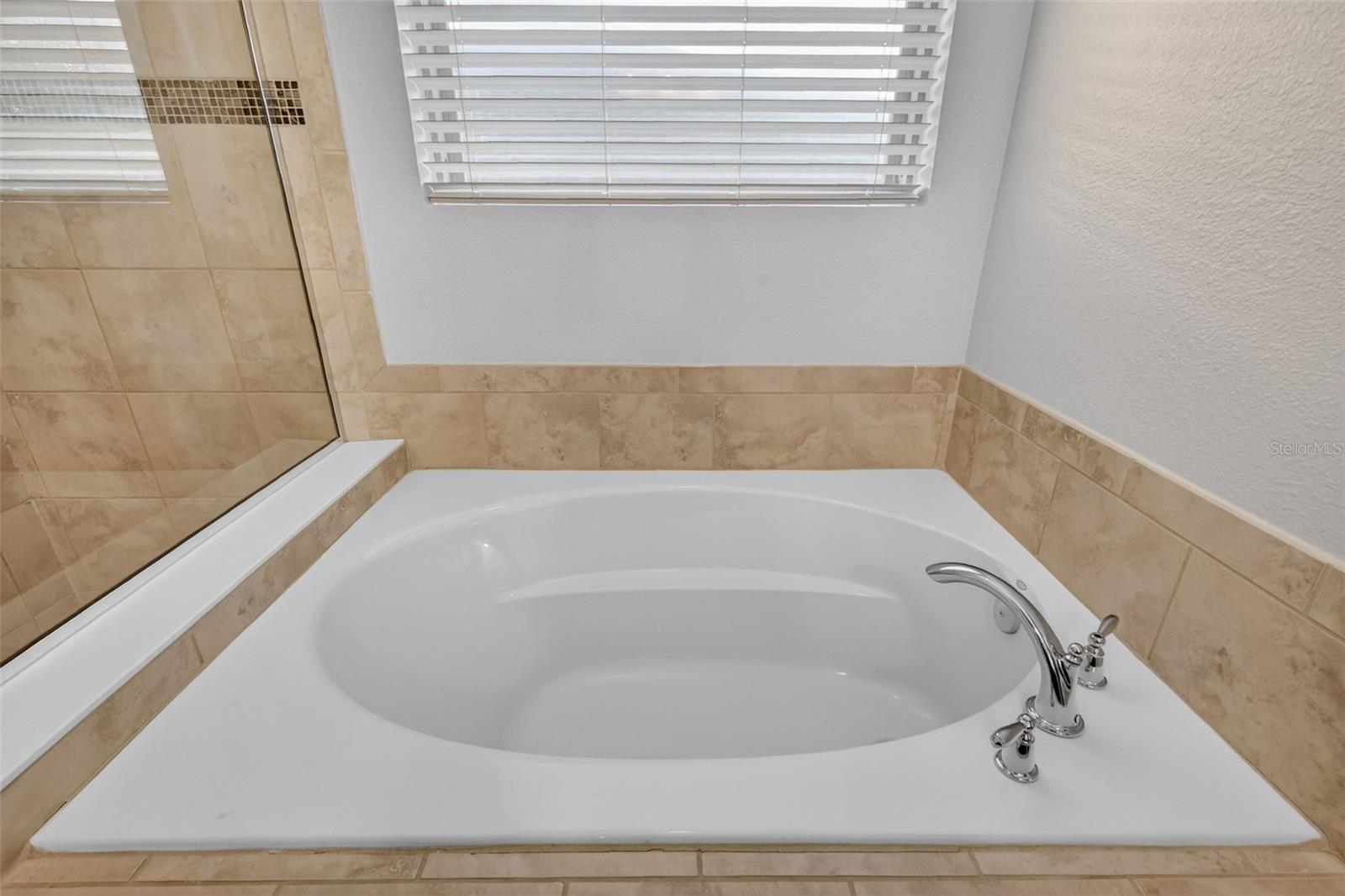 30115 CHEVAL ST, MOUNT DORA, FL, 32757