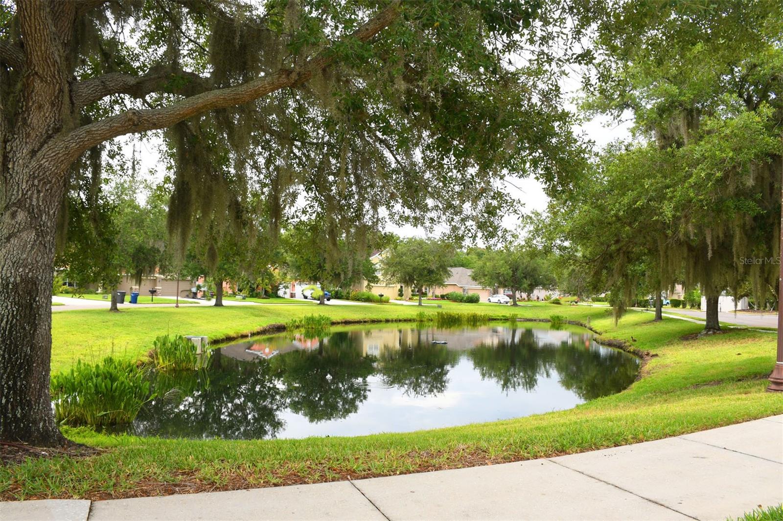 11223 82ND ST E, PARRISH, FL, 34219