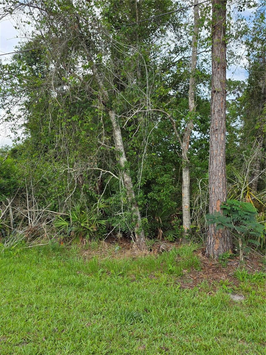 3227 URMEY AVE, DELTONA, FL, 32738