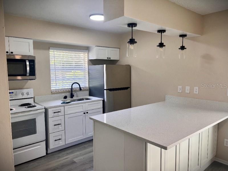 1228 E MURIEL ST, ORLANDO, FL, 32806