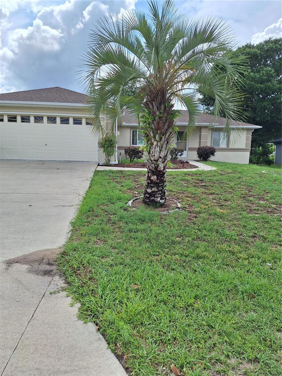 6035 SW 98TH STREET ROAD, OCALA, FL, 34476